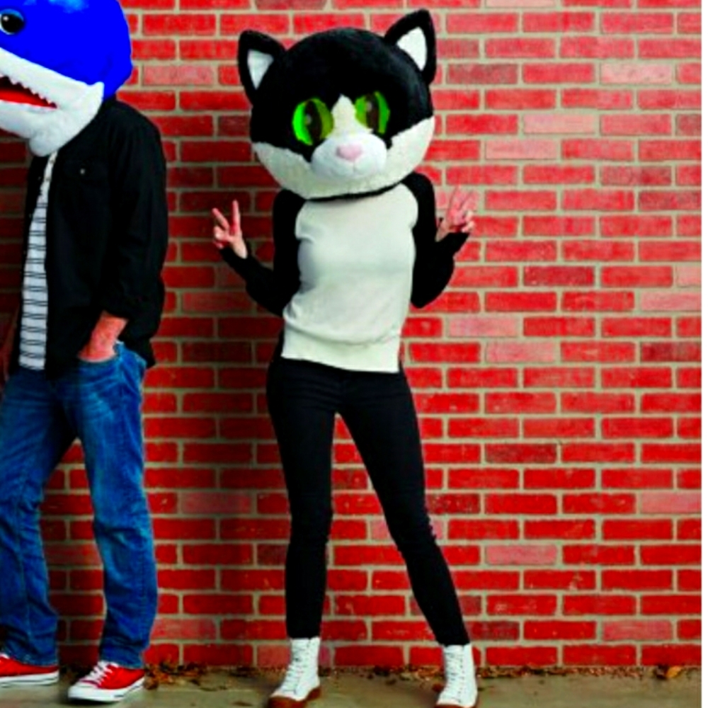 Maskimal Cat -- discontinued